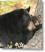 Snuggle Time Metal Print