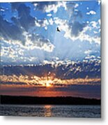 Soaring Sunset Metal Print