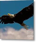 Soaring To Greater Heights Metal Print