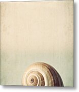 Sojourn Metal Print