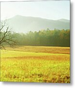 Solitary Tree In The Field, Great Smoky Metal Print