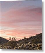 Sonoran Desert Sunset Metal Print