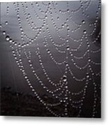 Dew On A Spider Web Metal Print