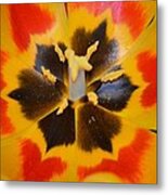 Soul Of A Tulip Metal Print