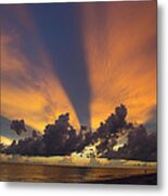 Soulful Metal Print