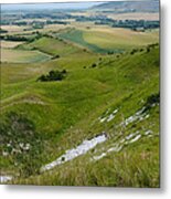 South Downs - Sussex - England Metal Print