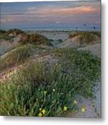 South Padre Island Sunset And Flowers Metal Print