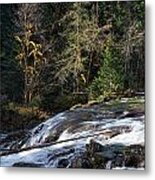 Spanish Moss And Falls Metal Print