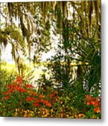 Spanish Moss Of Beaufort 1 Metal Print