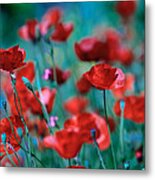 Sparkling Red Metal Print