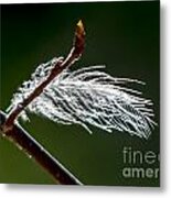 Sparkly Feather Metal Print