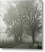 Sparks Lane Fog Metal Print