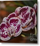 Speckled Cluster Metal Print