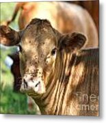 Speckled Shade Metal Print