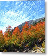 Speckled Skies Metal Print