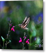 Sphinx Moth And Summer Flowers Metal Print