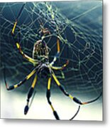 Spider Close Up Metal Print