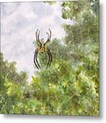 Spider In Web #2 Metal Print