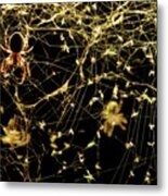 Spider On A Web Covered In Flies Metal Print