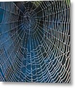 Spider's Net Metal Print