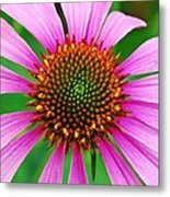 Spiral Metal Print