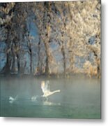 Spirit Of A Swan Metal Print