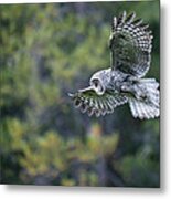 Spirit Of The Forest Metal Print