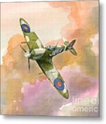 Spitfire Study Metal Print