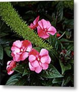 Splash Of Spring Color Metal Print