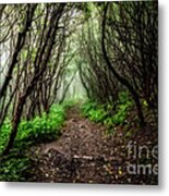 Spooky Trail Metal Print