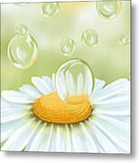 Spring Bubble Metal Print