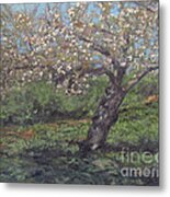 Spring Cherry Blossoms Metal Print