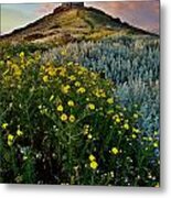 Spring Flower Field With Trail To Castle Tower Metal Print