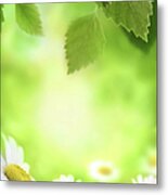 Spring Green Background Metal Print