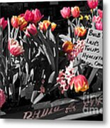 Spring In A Wagon Metal Print