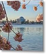 Spring In The Nation's Capital Metal Print