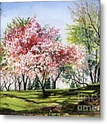 Spring Morning Metal Print