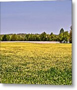 Spring Pasture Metal Print