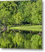 Spring Reflections Metal Print