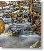 Spring Woods Metal Print