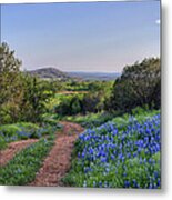 Springtime In The Hill Country Metal Print