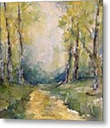 Springtime On The Country Road Metal Print