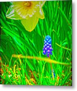 Sprung Metal Print