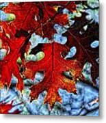 Stained Glass Metal Print