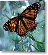 Stained Glass Wings Metal Print