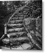 Stairs In A Garden Metal Print