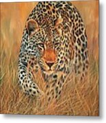 Stalking Leopard Metal Print