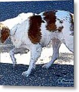 Stalking Prey Metal Print