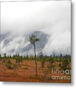 Stand Alone Metal Print