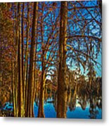 Stand Tall Metal Print